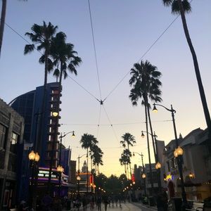 Meet your Posher, Sophie